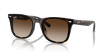 Ray-Ban RB4420