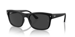 Ray-Ban RB4428