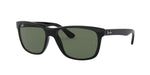 Ray-Ban RB4181