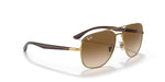 Ray-Ban RB3683