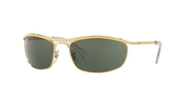 Ray-Ban RB3119