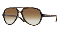 Ray-Ban RB4125