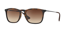 Ray-Ban RB4187